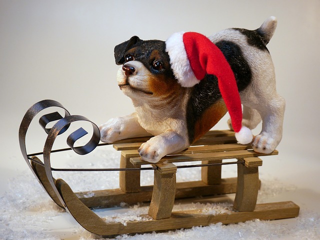 Christmas 1580051